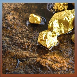 Gold Adsorption Activated Carbo