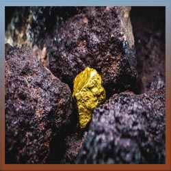 Gold Mining Activated Carbon