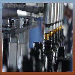 Lubricant Filling Plant